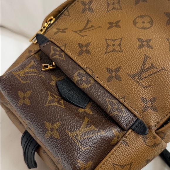 Louis Vuitton Palm Springs Mini main image 16